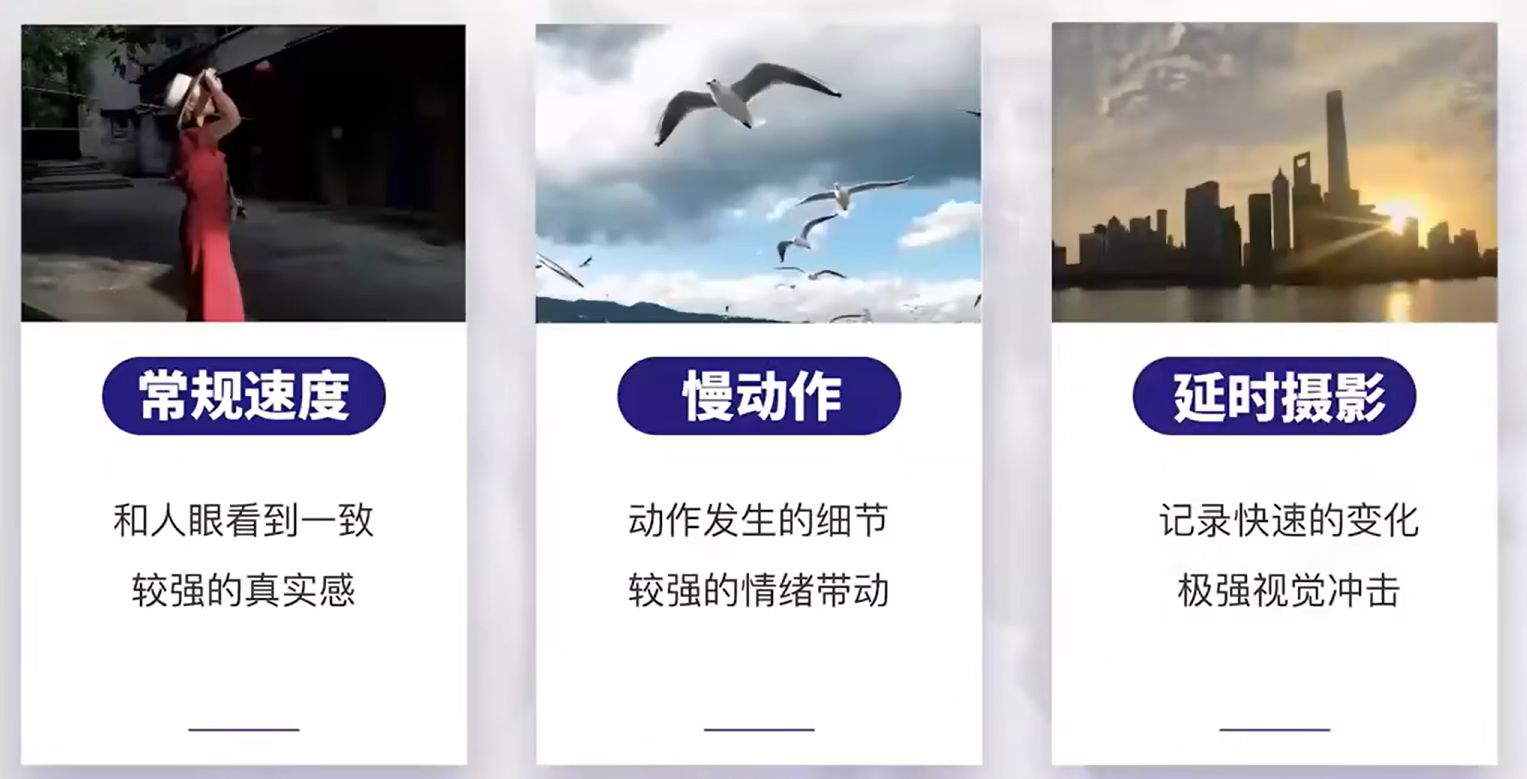 image-20240602204820109