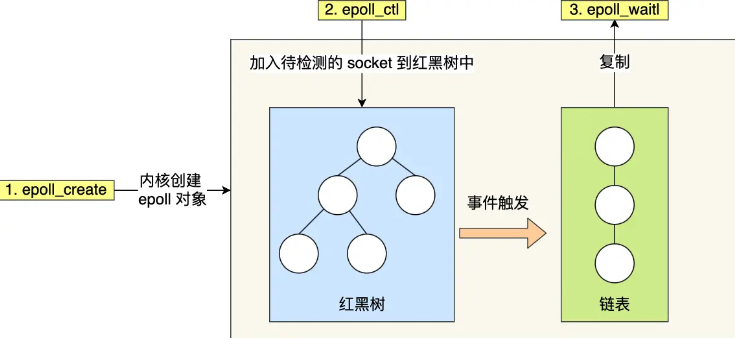 image-20240812094307065