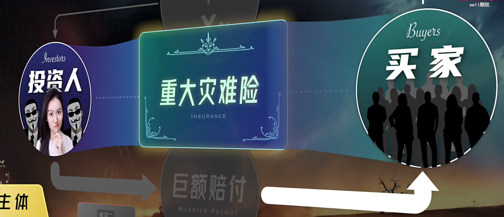 image-20240812130407049