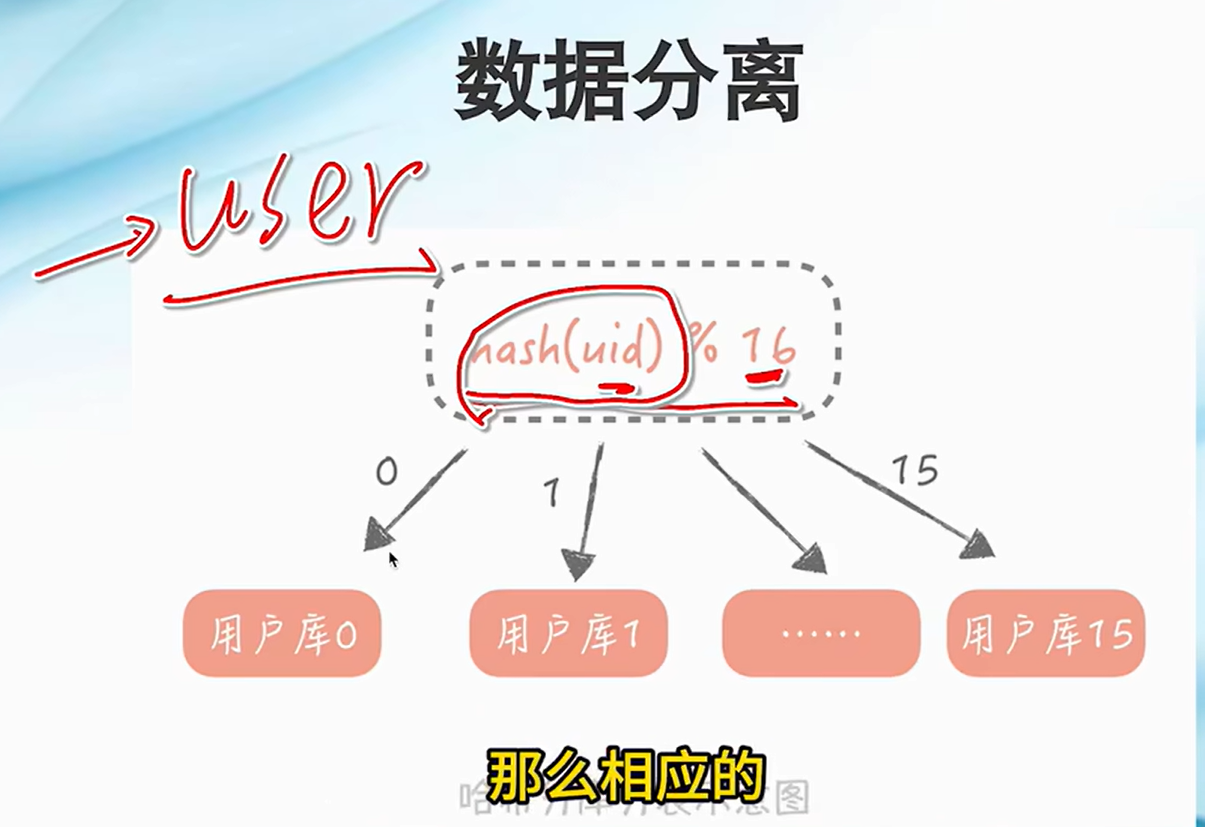 image-20241111204338701