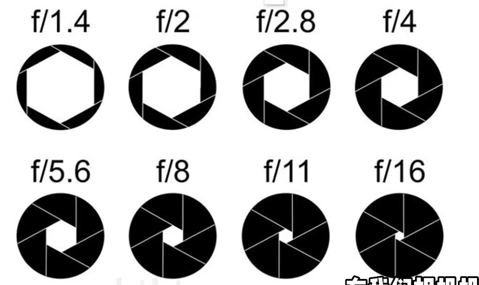 image-20250323223145481